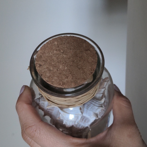 Jar of sealed shells - Picture 4 of 4